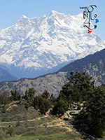 25th Issue