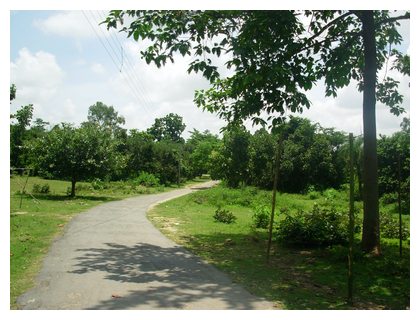 Way to Shushunia, by Tirthankar Ghosh