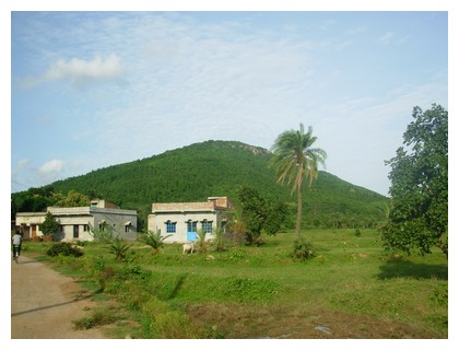 Shushunia, by Tirthankar Ghosh