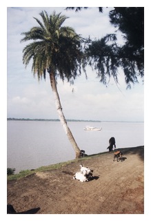 Gadiara, by Ratnadip Dasgupta