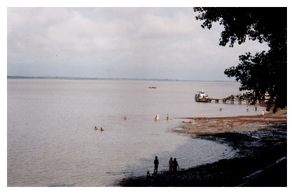 Gadiara, by Ratnadip Dasgupta